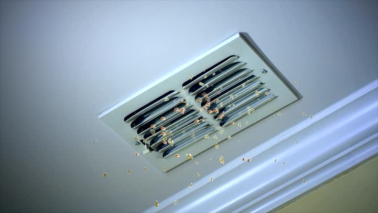 Professional Airduct Cleaning in Long Lake, IL