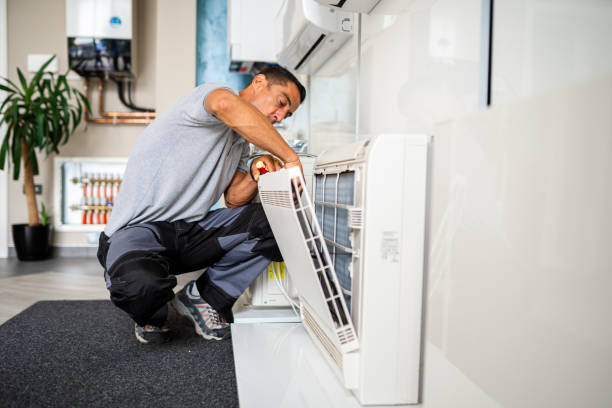 Air Duct Mold Removal in Long Lake, IL
